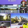 All about weles (3 ESO). Activity< Discount