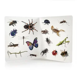 ¡Animales!< New