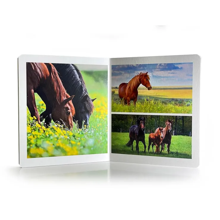 Animales de la granja<