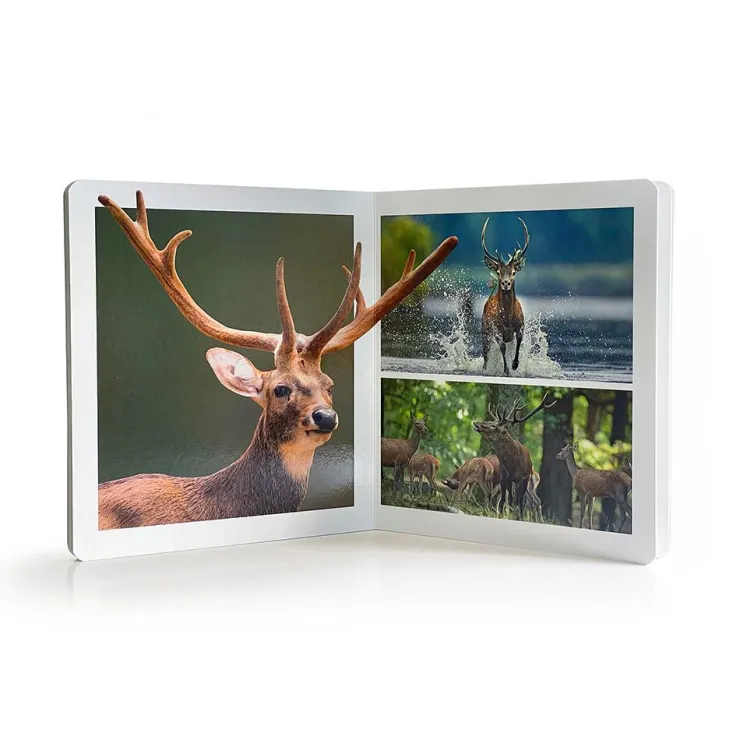 Animales del bosque< Online