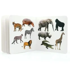 ANIMALES SALVAJES 3< Discount