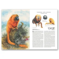 Atlas de animales en peligro de extinción< Sale