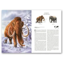 Atlas de animales extintos en nuestra época< Sale
