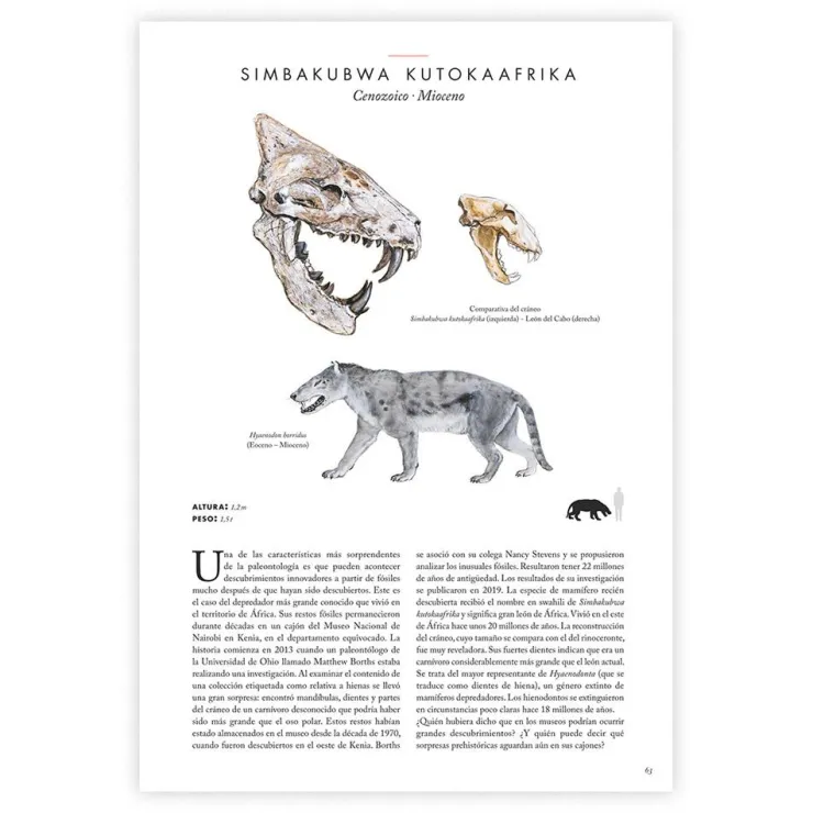 Atlas de animales prehistóricos< Discount