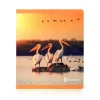 Aves. Gran formato< Online