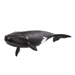 Ballena franca glacial.<Schleich Online