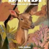 Bambi< Clearance
