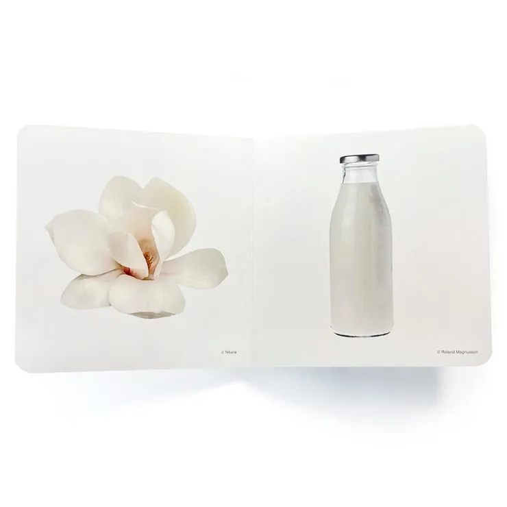Blanco< Online