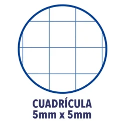 Bloc A4 cuadro 5mm. 150hj tapa extradura<Oxford Outlet