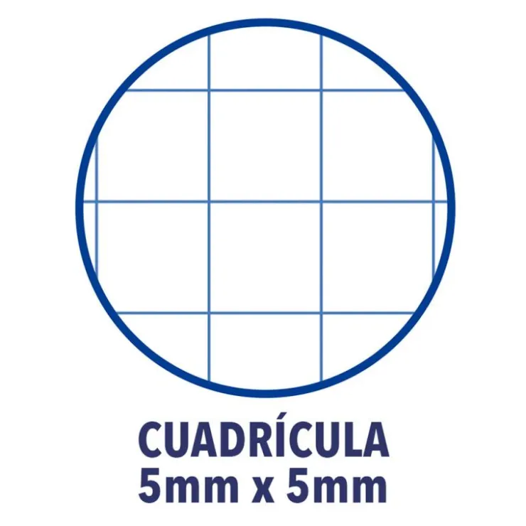 Bloc A4 cuadro 5mm. 150hj tapa extradura<Oxford Outlet