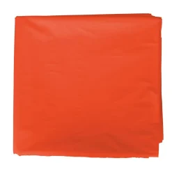 Bolsa de disfraz 25 unidades naranja 56x70cm<Grafoplas Hot