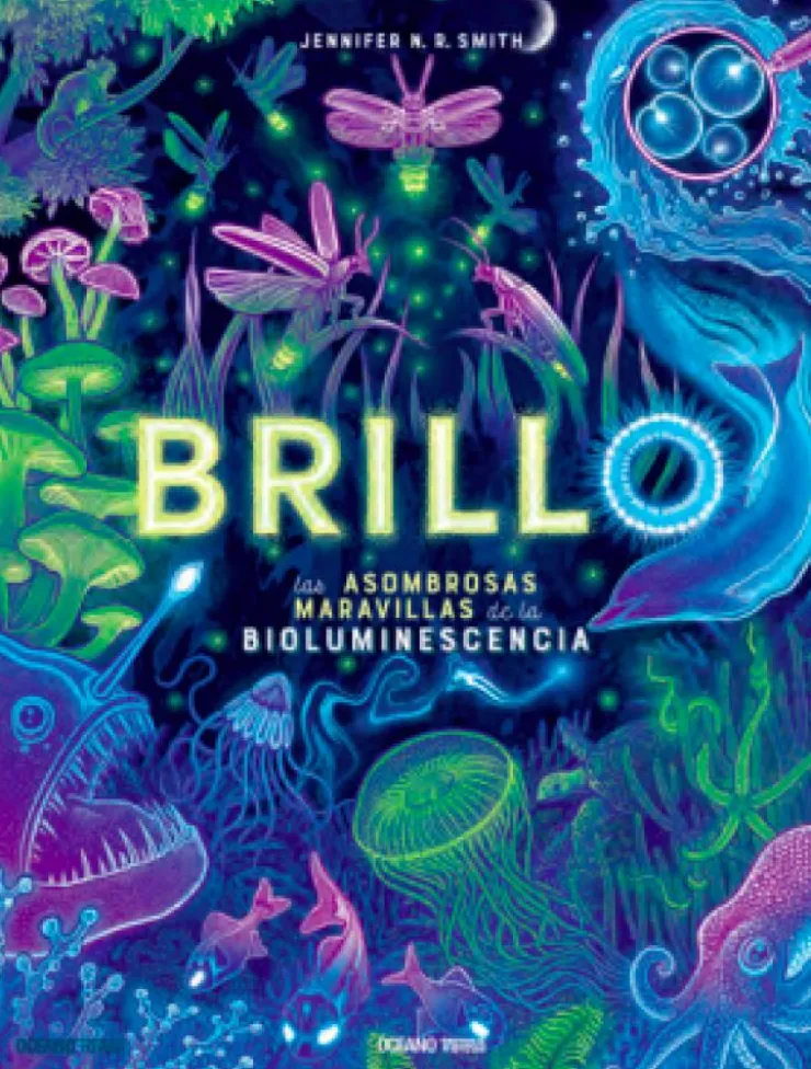 Brillo< New