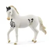 Caballo semental Marwari.<Schleich Sale