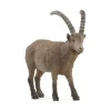 Cabra montesa.<Schleich Hot