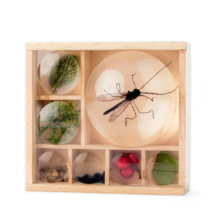 Caja con lupas para observación de insectos<Kikkerland New