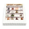 Caja de Minerales del mundo número 2<Kunugi