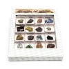 Caja de minerales del mundo número 4<Kunugi New