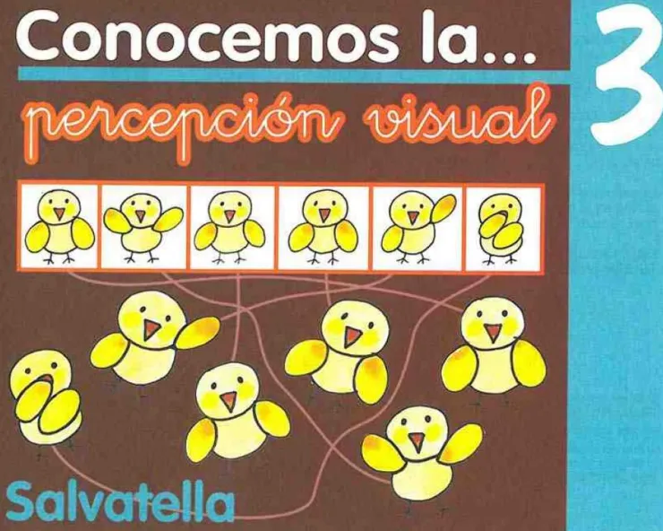 Conocemos percepción visual 3< Outlet