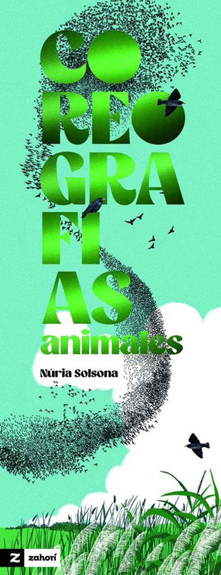 Coreografías animales< New