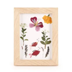 Crea flores prensadas con marco<Kikkerland Hot