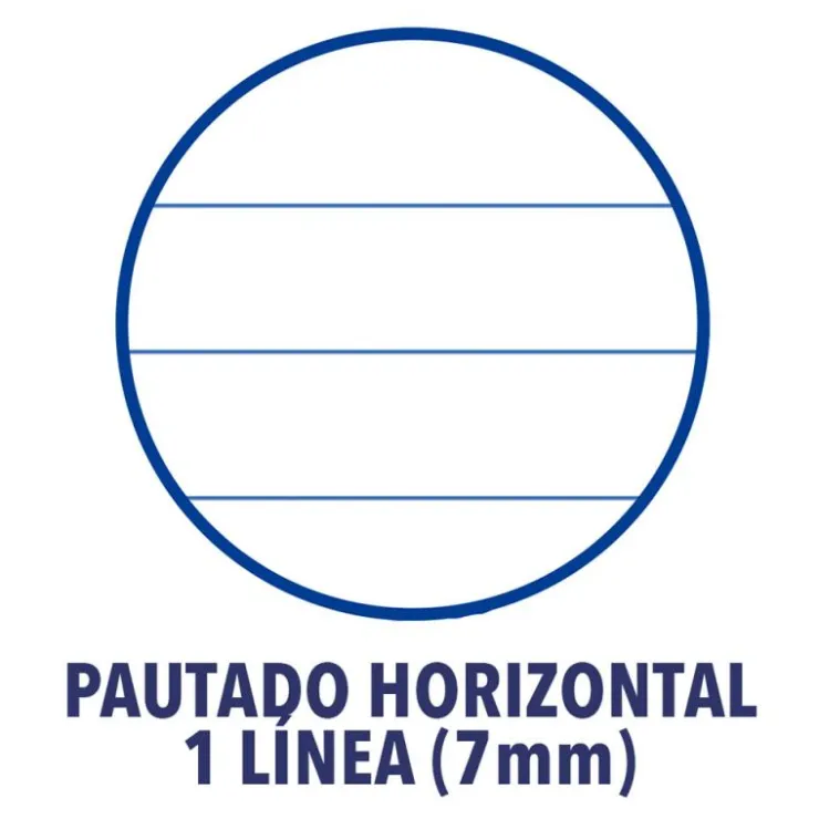 Cuaderno A4 raya horizontal 48hj tapa plástico<Oxford New