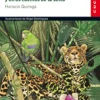 Cucaña: Anaconda y otros cuentos de la selva.< Clearance