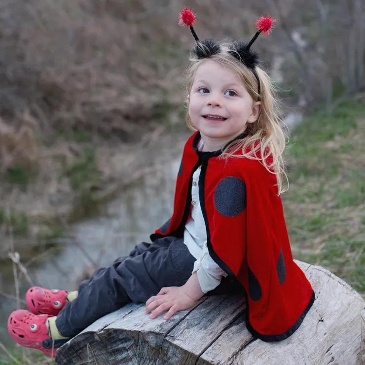 Disfraz capa mariquita 2-3 años<Great Pretenders Outlet
