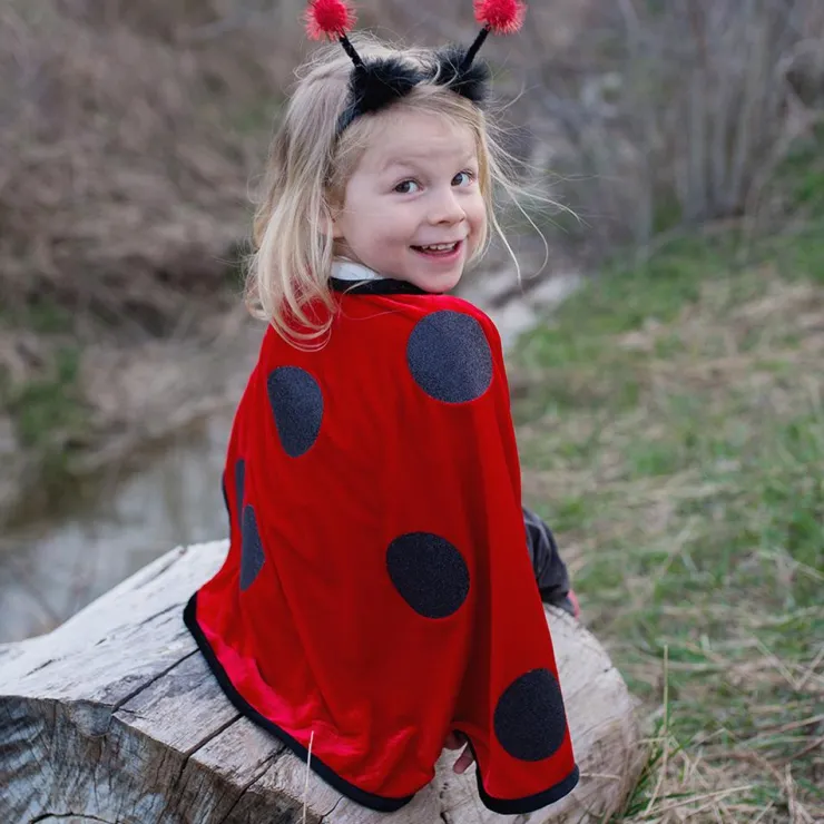 Disfraz capa mariquita 2-3 años<Great Pretenders Outlet