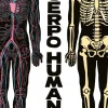 El cuerpo humano< Sale