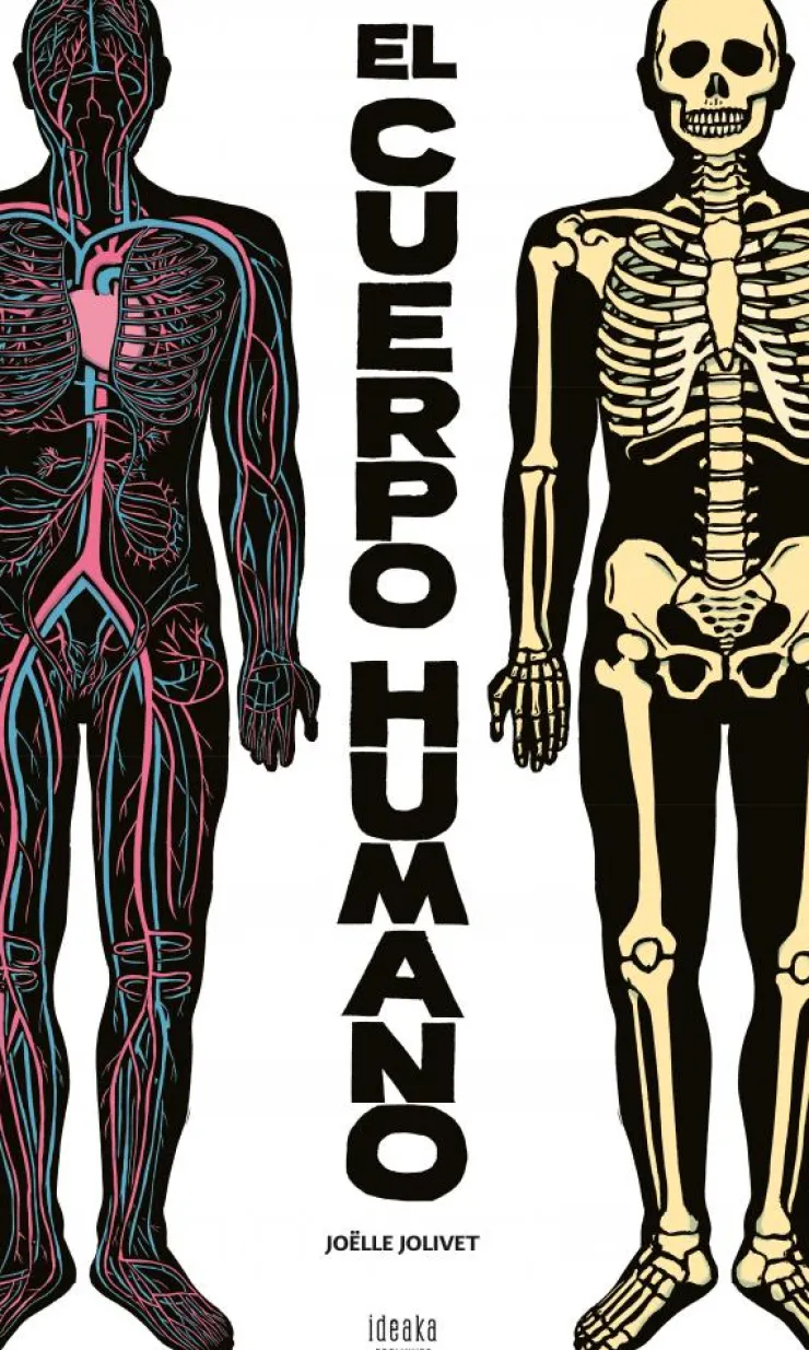 El cuerpo humano< Sale