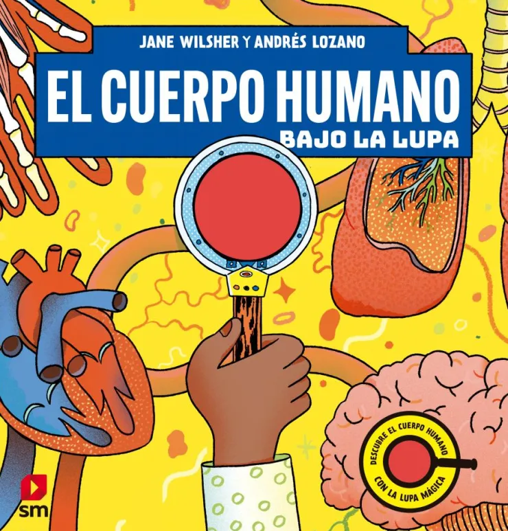 El cuerpo humano bajo la lupa< Sale