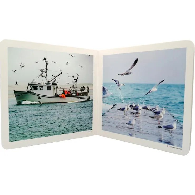 El mar< Sale