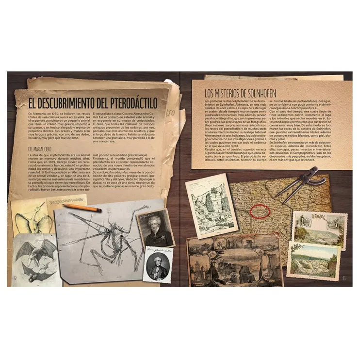 El mundo del Pterodáctilo< Online