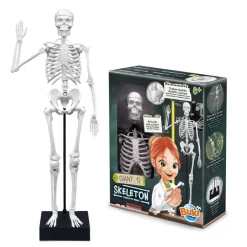 Esqueleto 45cm para ensamblar<Buki Best