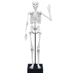 Esqueleto 45cm para ensamblar<Buki Best