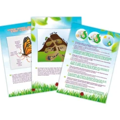 Explorador insectos<Buki Clearance