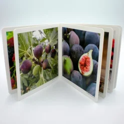 Frutos del bosque< Hot