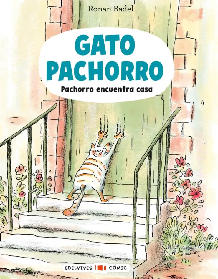 Gato Pachorro : Pachorro encuentra casa< Discount