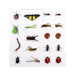 Gomets insectos 2 láminas<Apli Online