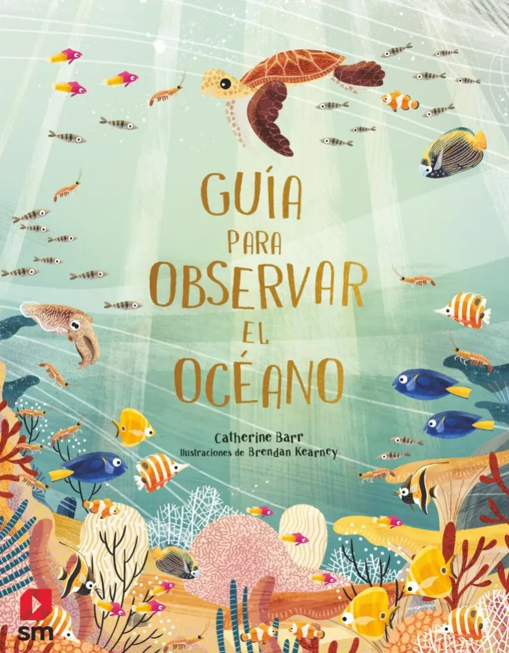 Guía para observar el océano< New