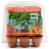 Kit de cultivo 6 mini macetas tomates bio.<Radis et capucine Outlet