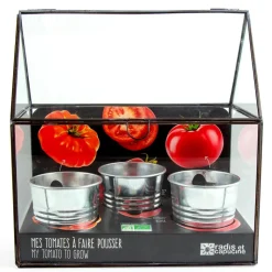 Kit de cultivo invernadero cristal tomates bio con 3 macetas metal<Radis et capucine