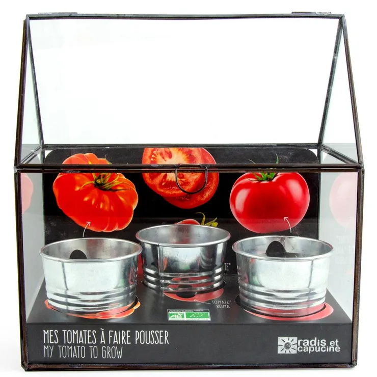 Kit de cultivo invernadero cristal tomates bio con 3 macetas metal<Radis et capucine
