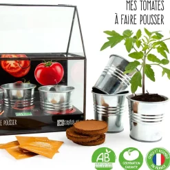 Kit de cultivo invernadero cristal tomates bio con 3 macetas metal<Radis et capucine