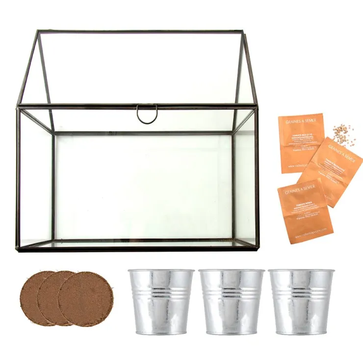 Kit de cultivo invernadero cristal tomates bio con 3 macetas metal<Radis et capucine