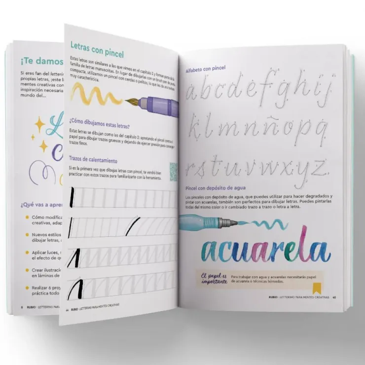 Lettering para mentes creativas< Online