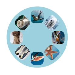 Linterna y proyector animales marinos<Moses Sale