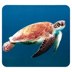 Linterna y proyector animales marinos<Moses Sale