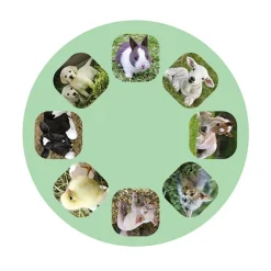 Linterna y proyector bebés animales<Moses Best