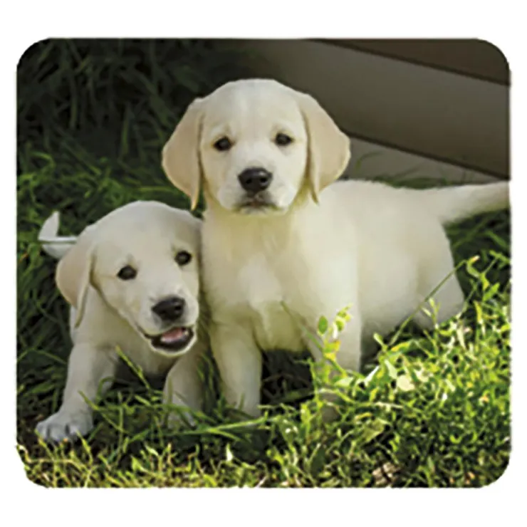 Linterna y proyector bebés animales<Moses Best